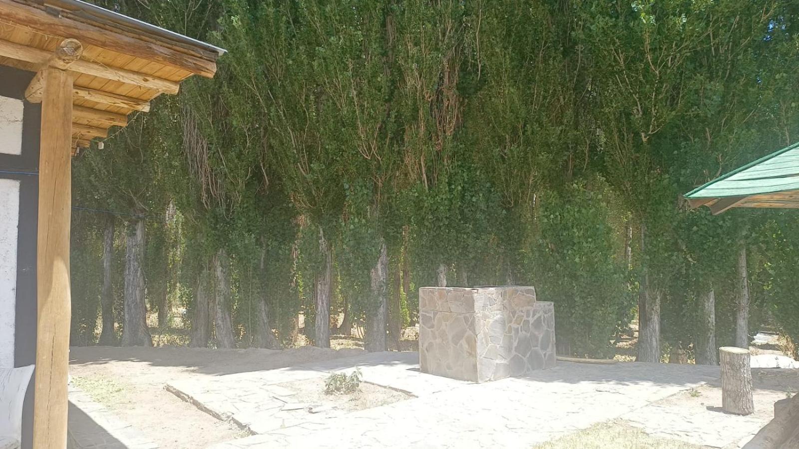 Cabañas de los Andes Uspallata Exterior foto